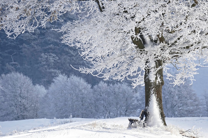 Spedire abbigliamento invernale: ecco qualche pratico consiglio